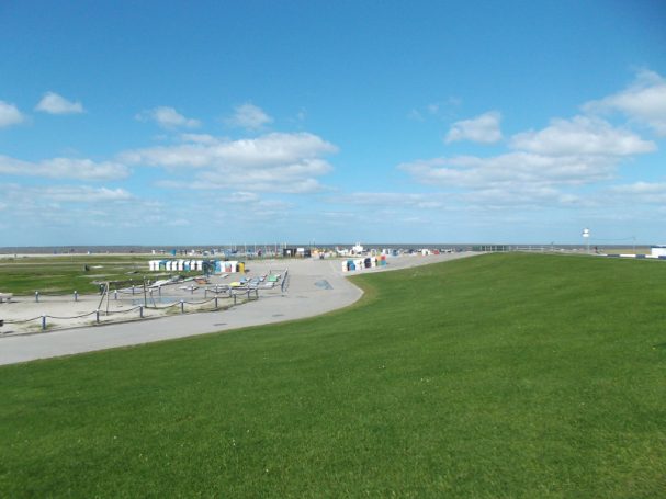 Grüne Wiese und Straße